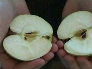 Φωτογραφία για Πώς να κόψετε ένα μήλο με... τα χέρια (video)
