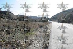 Οι αθίγγανοι θερίζουν και μάντρες εξαφανίζουν!