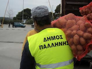 Φωτογραφία για Διανομή πατάτας Βεύης Φλώρινας από το Δήμο Παλλήνης Αττικής