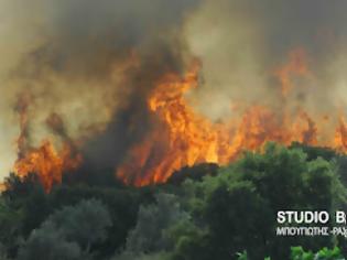 Φωτογραφία για Μεγάλη φωτιά στην περιοχή Μπόρσα Αργολίδας