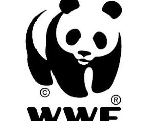 Φωτογραφία για To WWF καλεί για πράσινη λύση στην κρίση