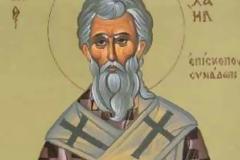 Εορτή του Οσίου Μιχαήλ, του Επισκόπου