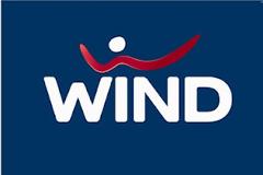 H WIND βγάζει στο σφυρί σπίτι για οφειλή 1.020 ευρώ.