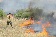 Πυρκαγιά στην νεκρή ζώνη κατασβέστηκε από κοινού με Ελληνοκύπριους και Τούρκους στρατιώτες (φωτογραφίες)