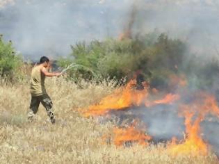 Φωτογραφία για Πυρκαγιά στην νεκρή ζώνη κατασβέστηκε από κοινού με Ελληνοκύπριους και Τούρκους στρατιώτες (φωτογραφίες)