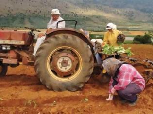 Φωτογραφία για Προκαταβολές των επιδοτήσεων στους γεωργούς ζητά το Ανάπτυξης