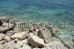 Δεν ανήκει στον ναυτικό από την Κεφαλονιά το πτώμα που βρέθηκε στην Καστροσυκιά της Πρέβεζας