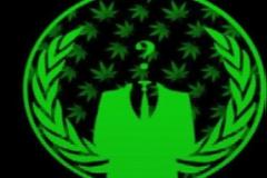 Υπέρ της νομιμοποίησης της κάνναβης οι Anonymous