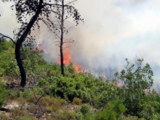 Φωτογραφία για Τέλος καλό με τη φωτιά στη Κρήτη