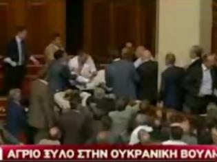 Φωτογραφία για Το «ξύλο της ... αρκούδας» έπεσε στην βουλή της Ουκρανίας! [video]