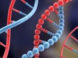 Φωτογραφία για DNA σε ρόλο κομπιούτερ κάνει delete τα καρκινικά κύτταρα