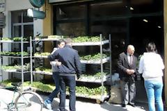 Επιστροφή στον λαχανόκηπο για τους Τρικαλινούς