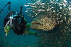 Δείτε της πιο κορυφαιες δημιουργιες photoshop που κυκλοφορουν στο διαδικτυο !!![PICS]