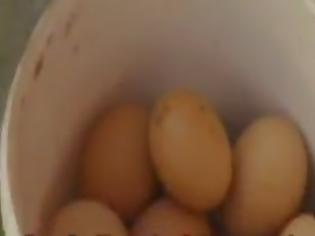 Φωτογραφία για Παραλήπτης των αυγών, ο Βενιζέλος!!