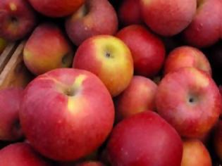 Φωτογραφία για Μεταλλαγμένα μήλα που δεν «καφετίζουν» στην αγορά το 2014