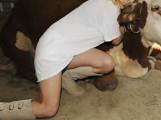 Φωτογραφία για Ποιά καυτή σεξοβόμβα επισκέφτηκε φάρμα ζώων και αγκάλιασε αγελάδα;