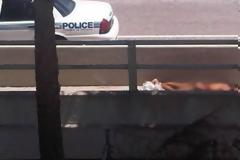 ΣΟΚΑΡΙΣΤΙΚΟ VIDEO: Τον έτρωγε ζωντανό!
