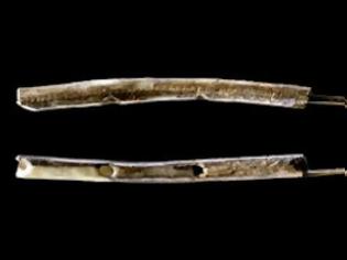 Φωτογραφία για Γερμανία: Βρέθηκε φλάουτο 43.000 ετών