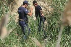 Δεκάδες δενδρύλια χασίς σε ποιμνιοστάσιο στα Σκούρβουλα Ηρακλείου