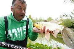 Γνωρίστε το ψάρι «Frankenfish»