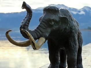 Φωτογραφία για «Νεκρανάσταση»: Θα δημιουργήσουν το πρώτο υβρίδιο μαμούθ-ελέφαντα