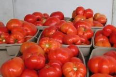 Κατασχέθηκαν ντομάτες με υπολείμματα φυτοφάρμακου