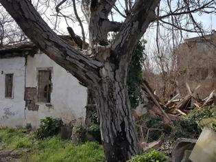 Φωτογραφία για Τρίκαλα: Κατέρρευσε το σπίτι που γεννήθηκε ο Άγιος Εφραίμ