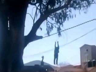 Φωτογραφία για Σκληρό βίντεο: Τον έπιασαν να κλέβει και τον κρέμασαν από δέντρο