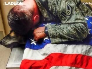 Φωτογραφία για Ο πρώην στρατιώτης έμεινε δίπλα στο σκύλο που έσωσε χιλιάδες ζωές, μέχρι την τελευταία του πνοή