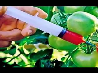 Φωτογραφία για Το απόλυτο μυστικό για τα τρόφιμα: Πώς πεθαίνουν τις μάζες με τα μεταλλαγμένα - Δείτε το αποκαλυπτικό βίντεο