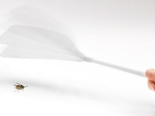 Φωτογραφία για Πώς να απαλλαγείτε από τις μύγες
