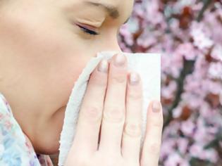 Φωτογραφία για Έτσι θα επιβιώσετε από τις αλλεργίες της άνοιξης