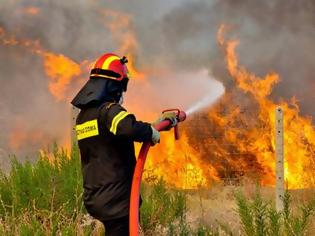 Φωτογραφία για Σε ύφεση η μεγάλη πυρκαγιά στις Μαριές Ζακύνθου