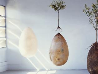 Φωτογραφία για Νέα πατέντα δίνει τη δυνατότητα να γίνετε δέντρο μετά τον θάνατό σας