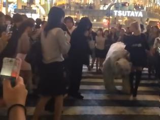 Φωτογραφία για Έχουν ξεφύγει στο Τόκιο - Μυστηριώδης ξανθιά γυναίκα βγήκε βόλτα με μια... πολική αρκούδα [video]