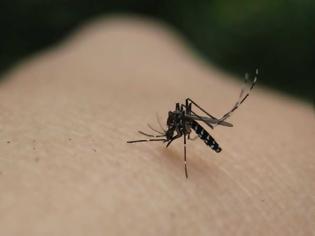 Φωτογραφία για Γιατί τα κουνούπια έχουν προτιμήσεις στο ποιον θα τσιμπήσουν