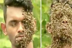 Νεαρός αφήνει 60.000 μέλισσες να… ''ξεκουραστούν''  στο κεφάλι του