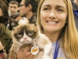 Φωτογραφία για Αυτή η σερβιτόρα έχει κερδίσει περισσότερα από 100 εκατ. από τη γάτα της - Διαβάστε πως κατάφερε να το κάνει αυτό [photos]