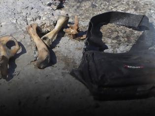 Φωτογραφία για Θρίλερ στην Κρήτη: Σε ποιον ανοίκουν τα οστά που ξεβράστηκαν στο λιμάνι του Ηρακλείου - Τον έψαχναν από τον Μάρτιο [photos]