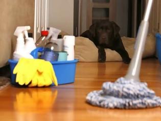 Φωτογραφία για Πόσο συχνά πρέπει να καθαρίζονται 4 αντικείμενα του σπιτιού