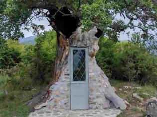 Φωτογραφία για Κόνιτσα:Το Δέντρο που μετατράπηκε σε Εκκλησιά του Άγιου Παΐσιου