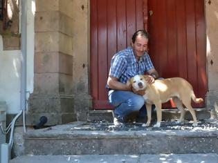 Φωτογραφία για Γιατί έχουν μείνει μόνο 2 σκυλιά στη Βρίσα της Λέσβού; Αυτός είναι ο λόγος...