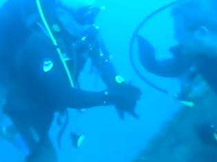 Φωτογραφία για Οι δύτες Καμμένος και Αποστολάκης εξερεύνησαν ναυάγιο στη Λέρο (VIDEO)