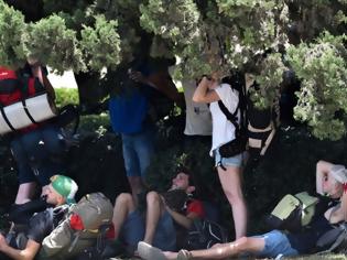 Φωτογραφία για Τα είδαν όλα οι τουρίστες στην Αθήνα με τη ζέστη - Εψαχναν για σκιά και για δροσιά... [photos]
