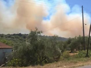 Φωτογραφία για Μεγάλη πυρκαγιά απειλεί σπίτια στην Κορώνη