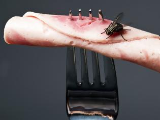 Φωτογραφία για ι μπορεί να συμβεί στο φαγητό σας αν ακουμπήσει μία μύγα πάνω;
