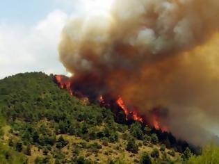 Φωτογραφία για Σε πύρινο κλοιό όλη η χώρα - Φωτιές σαρώνουν διάφορες περιοχές της Ελλάδας