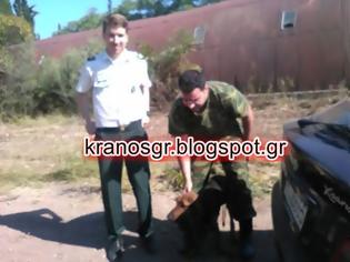 Φωτογραφία για Απεγκλωβισμός σκύλου από στελέχη του Στρατού Ξηράς στη Λαμία