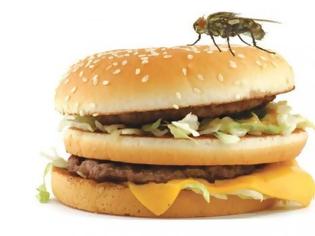 Φωτογραφία για ΠΡΟΣΟΧΗ! Τι μπορεί να συμβεί στο φαγητό σας αν ακουμπήσει μία μύγα πάνω;