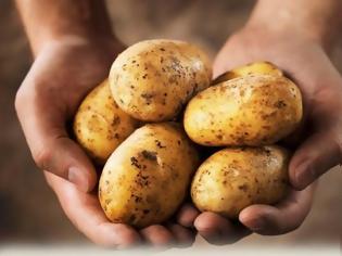 Φωτογραφία για Αν δείτε αυτό στις πατάτες, πρέπει να τις πετάξετε – Κίνδυνος νευρολογικού προβλήματος